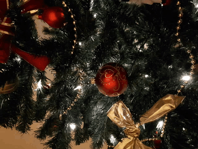 a close up of a christmas tree with a red ornament
