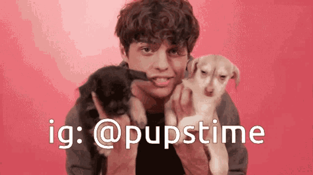 a man is holding two puppies with the hashtag @pupstime on the bottom