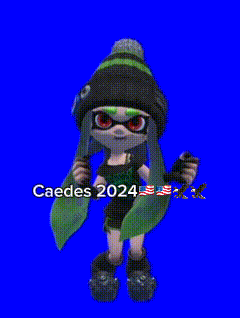 a person in a green and black hat is surrounded by flames and the words caedes 2024 are on the bottom