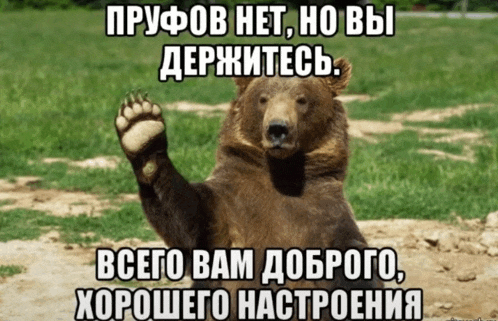 a bear is giving a high five in a meme