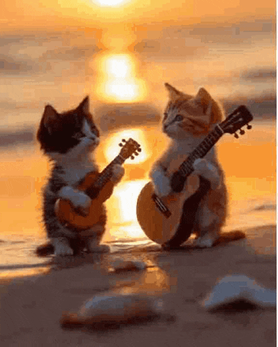 two kittens playing guitars on a beach at sunset .