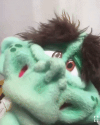 a close up of a stuffed animal that looks like a frog