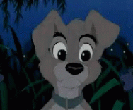 Scamp Lady GIF - Scamp Lady And GIFs