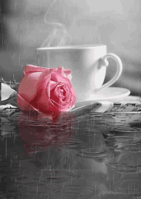 a cup of coffee and a pink rose are sitting in the rain .
