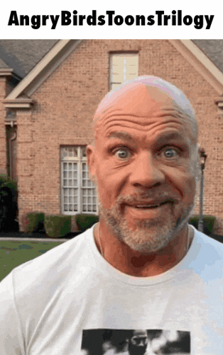 an angry birds toons trilogy poster with a bald man in front of a brick house