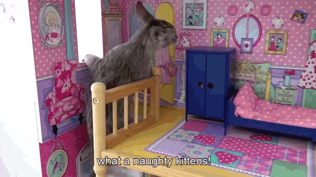 a cat is standing on a bed in a doll house with the words what a naughty kittens below it