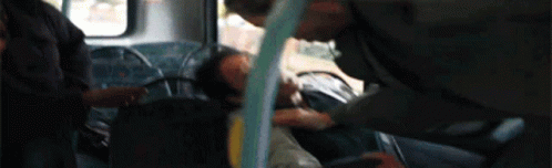 Bus Fight GIF - Bus Fight Cat Fight GIFs