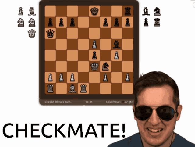 Checkmate Scammer Chess GIF