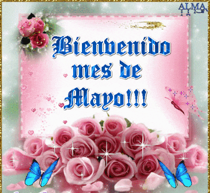 a bienvenido mes de mayo card with pink roses and butterflies