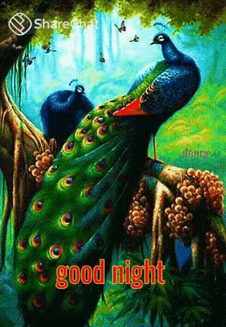 a painting of a peacock sitting on a tree branch with the words `` good night '' written on it .