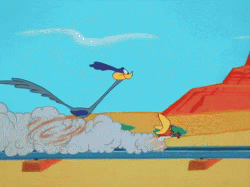 Roadrunner And Sylvester GIF - Race Sylvester Coyote GIFs