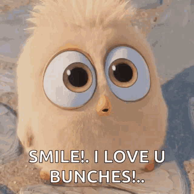 a cartoon owl is sitting on a rock and smiling .