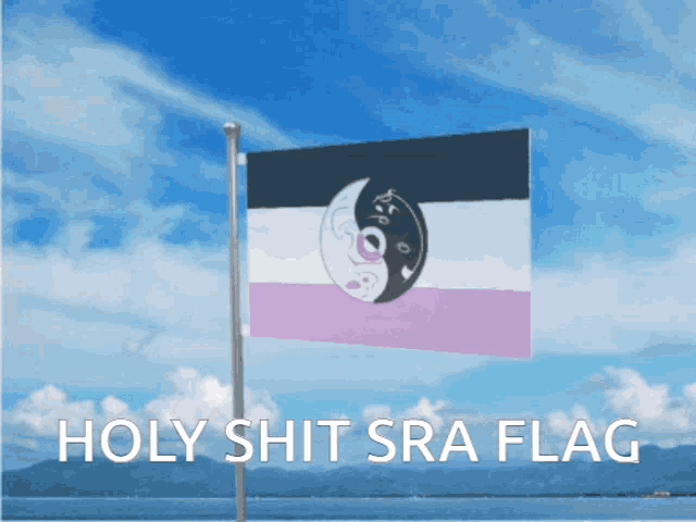 a picture of a flag with the words holy shit sra flag