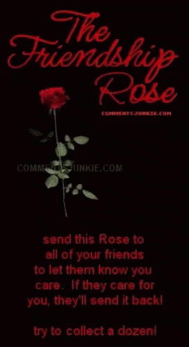 Friendship Rose Chain Message GIF