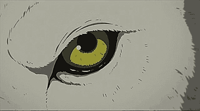 a close up of a cat 's eye with yellow eyes