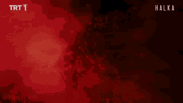 a red background with the words trt 1 halka and finch_vh