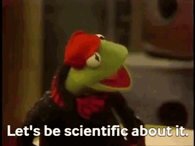 kermit the frog is wearing a red hat and scarf and saying let 's be scientific about it .