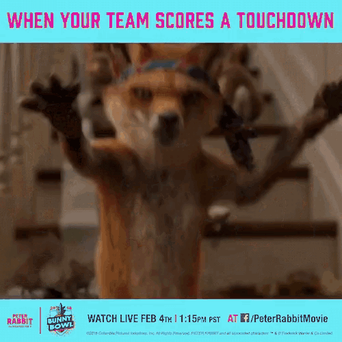 When Your Team Scores Touch Down GIF - When Your Team Scores Touch Down Bunny Bowl GIFs