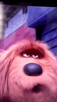 a close up of a cat 's face with a purple eye