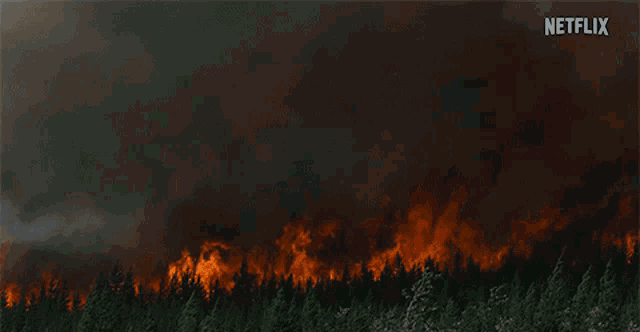 Fire Smoke GIF - Fire Smoke Burning Trees GIFs