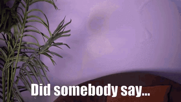 a purple wall with the words did somebody say on it