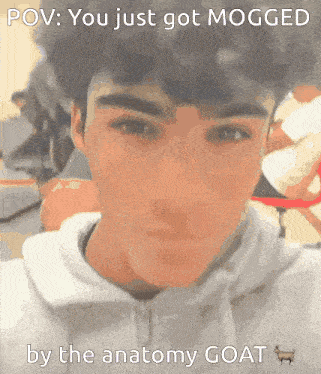 a picture of a young man with a caption that says pov you just got mogged by the anatomy goat