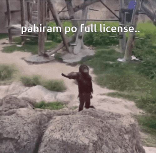 a chimpanzee standing on a rock with the words " pahiram po full license " on the bottom