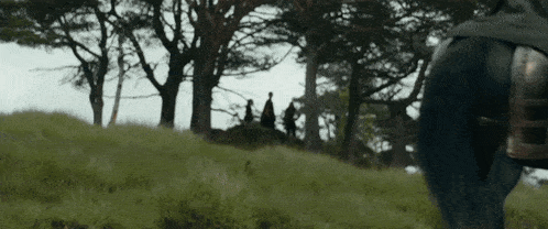 a group of people are riding horses in a grassy field .