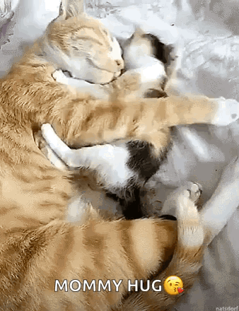 Big Hug GIF - Big Hug Mom GIFs