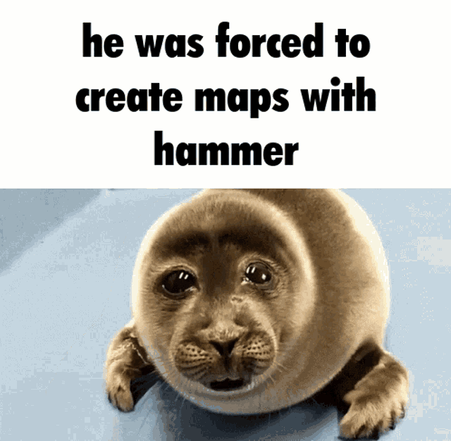 Sad Seal Hammer Editor GIF - Sad Seal Hammer Editor Source GIFs