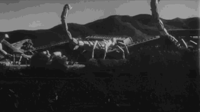 a black and white photo of a giant scorpion in the middle of a field .