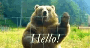 a brown bear is standing in front of a fence and waving its paw .