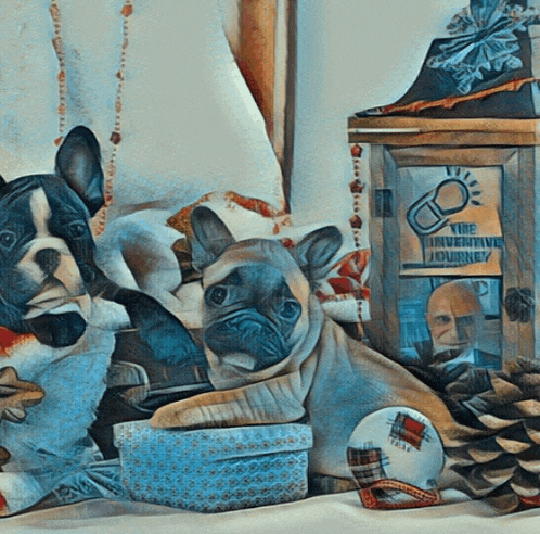 two french bulldogs laying next to a box that says the inventive journey on it