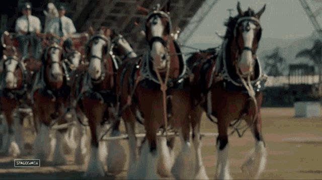 Horses Stagecoach GIF - Horses Stagecoach Carriage GIFs