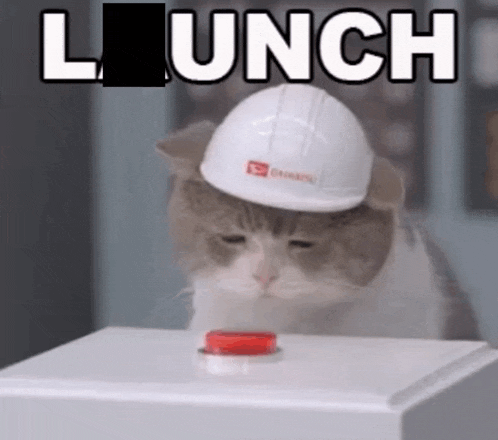 a cat wearing a hard hat is pressing a button with the word launch above it .