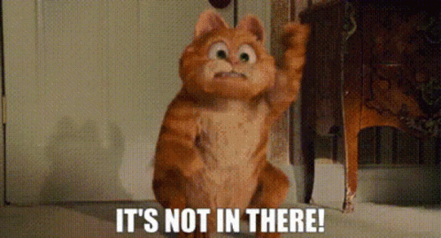 Garfield Its Not In There GIF - Garfield Its Not In There Not In There GIFs