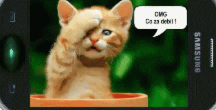 a samsung phone with a picture of a cat