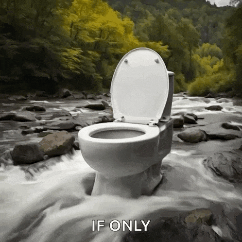 a toilet sits in the middle of a river with the words if only written below it