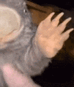 a close up of a person 's hand waving in front of a cup .