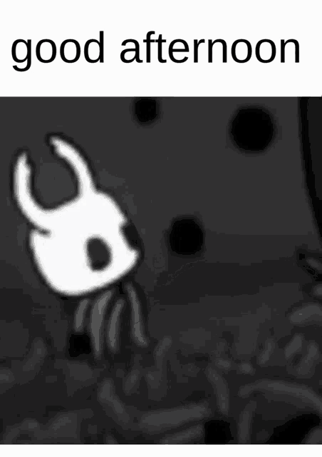 Hollow Knight Game GIF