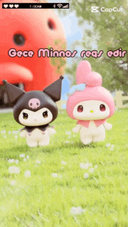 a phone screen shows two cartoon characters and says " gece minnos reas edir "