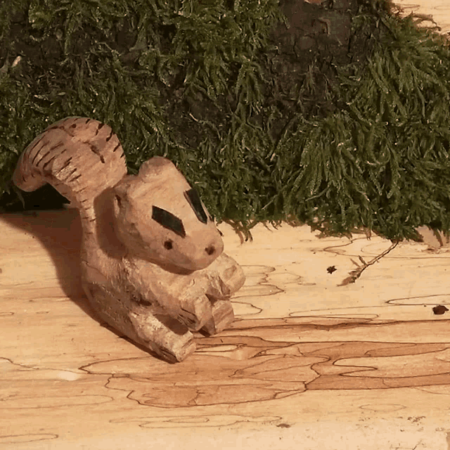 écureuil Squirrel GIF