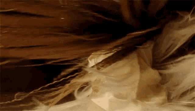 a close up of a person 's hair with feathers coming out of it