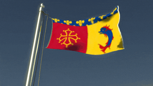 a red yellow and blue flag with a dolphin on it