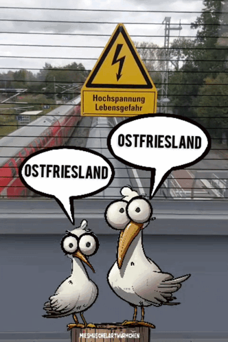 Ostfriesland Möwe GIF - Ostfriesland Möwe Miesmuschelartwuermchen GIFs