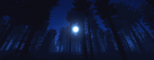 a full moon shines brightly through the trees in a dark forest