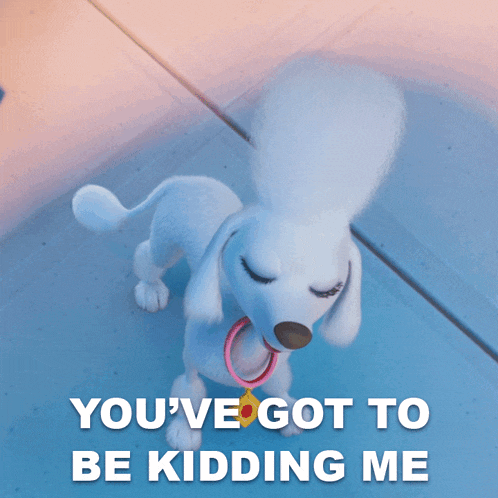 a picture of a white poodle with the words you 've got to be kidding me above it