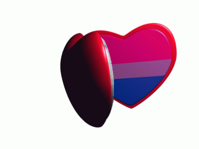 a man is reflected in a heart shaped mirror with a bisexual flag