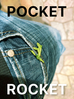 Pocket Rocket GIF - Pocket Rocket Pocket Rocket GIFs
