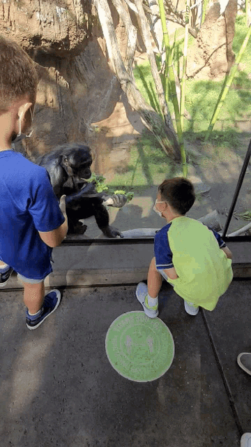 two children looking at a chimpanzee through a glass window at a zoo